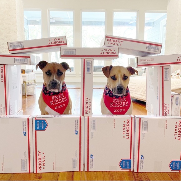 about me β’ queen b rocks! πππ - Picture 11 of 13